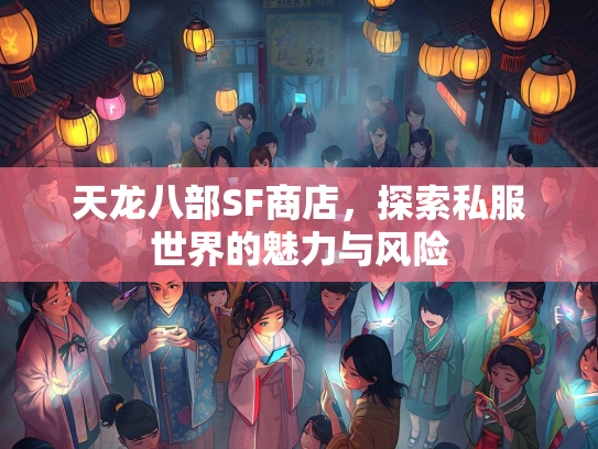 天龙八部SF商店，探索私服世界的魅力与风险  第1张