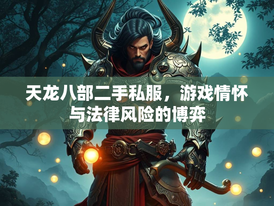 天龙八部二手私服，游戏情怀与法律风险的博弈  第2张