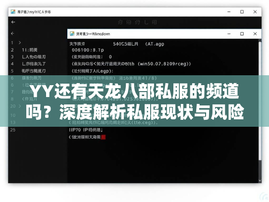 YY还有天龙八部私服的频道吗？深度解析私服现状与风险  第2张