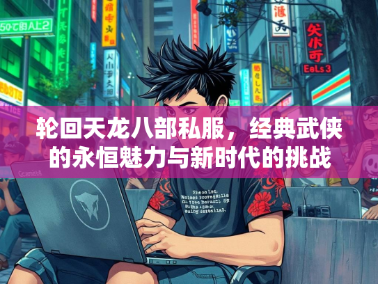 轮回天龙八部私服，经典武侠的永恒魅力与新时代的挑战  第2张