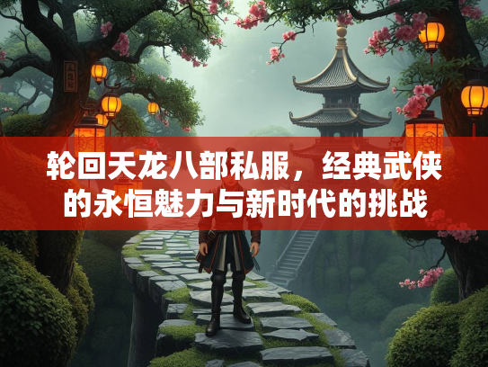 轮回天龙八部私服，经典武侠的永恒魅力与新时代的挑战  第1张