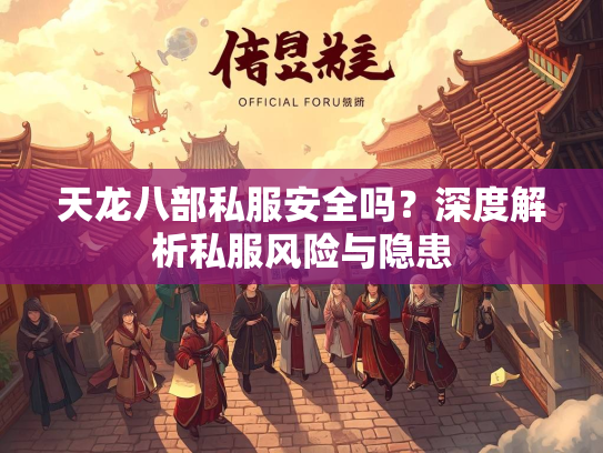 天龙八部私服安全吗？深度解析私服风险与隐患  第2张