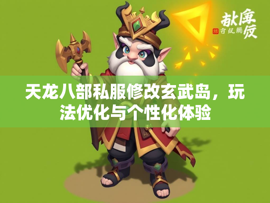 天龙八部私服修改玄武岛，玩法优化与个性化体验  第2张