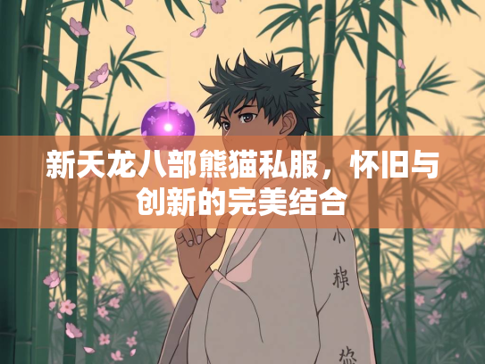 新天龙八部熊猫私服，怀旧与创新的完美结合  第3张