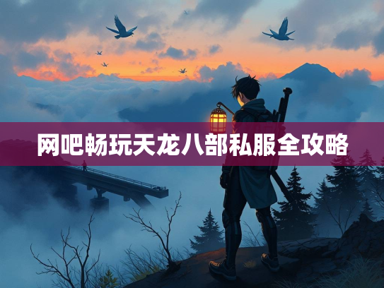 网吧畅玩天龙八部私服全攻略  第1张