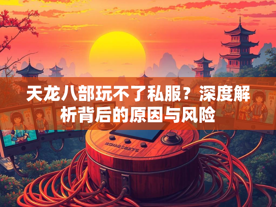 天龙八部玩不了私服？深度解析背后的原因与风险  第1张
