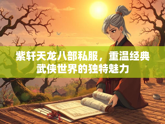 紫轩天龙八部私服，重温经典武侠世界的独特魅力  第2张