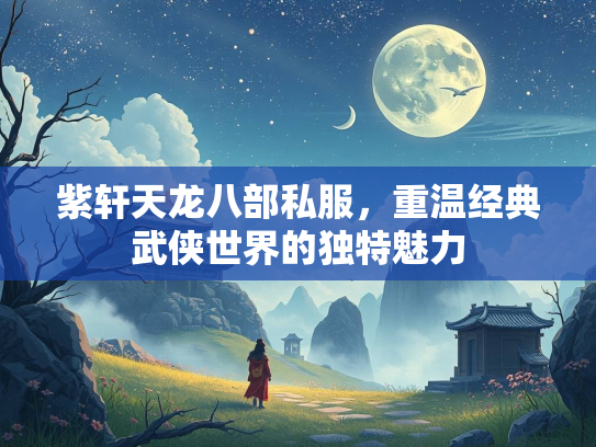 紫轩天龙八部私服，重温经典武侠世界的独特魅力  第3张