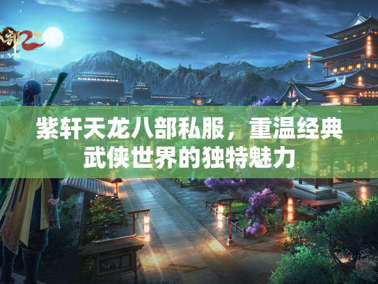 紫轩天龙八部私服，重温经典武侠世界的独特魅力  第1张