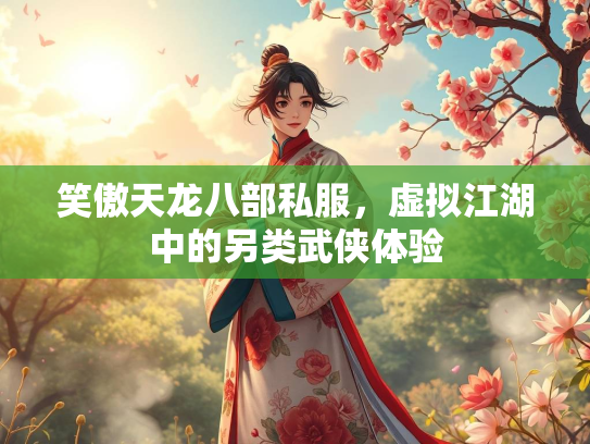 笑傲天龙八部私服，虚拟江湖中的另类武侠体验  第3张