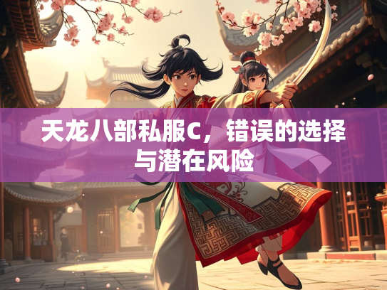 天龙八部私服C，错误的选择与潜在风险  第2张