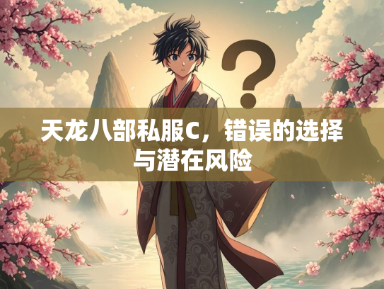 天龙八部私服C，错误的选择与潜在风险  第1张