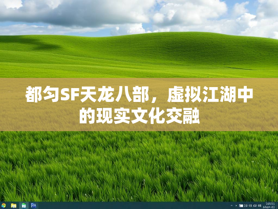 都匀SF天龙八部，虚拟江湖中的现实文化交融  第2张