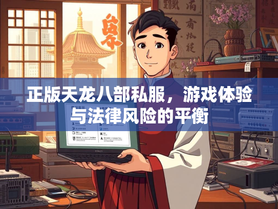 正版天龙八部私服，游戏体验与法律风险的平衡  第2张