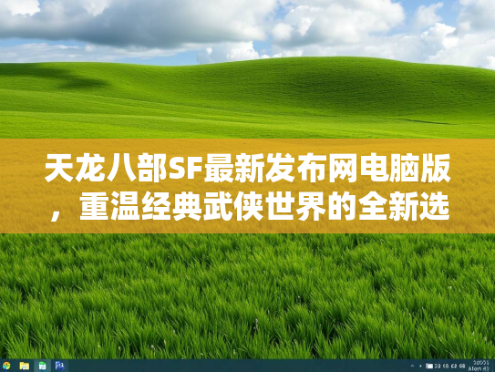 天龙八部SF最新发布网电脑版，重温经典武侠世界的全新选择  第3张