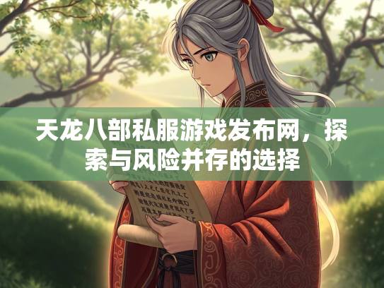 天龙八部私服游戏发布网，探索与风险并存的选择  第1张