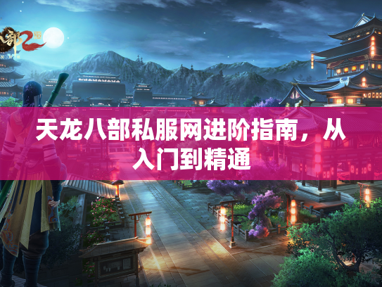 天龙八部私服网进阶指南，从入门到精通  第2张