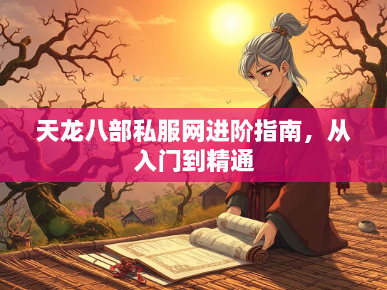 天龙八部私服网进阶指南，从入门到精通  第3张