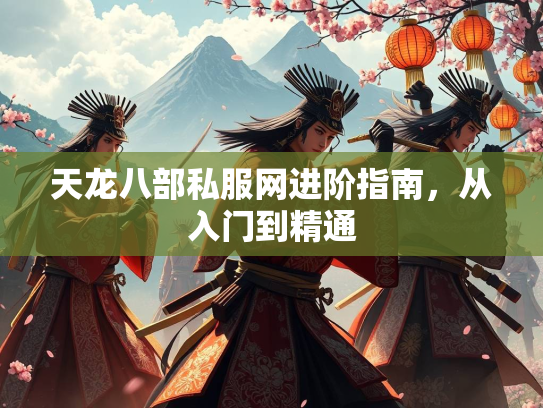 天龙八部私服网进阶指南，从入门到精通  第1张