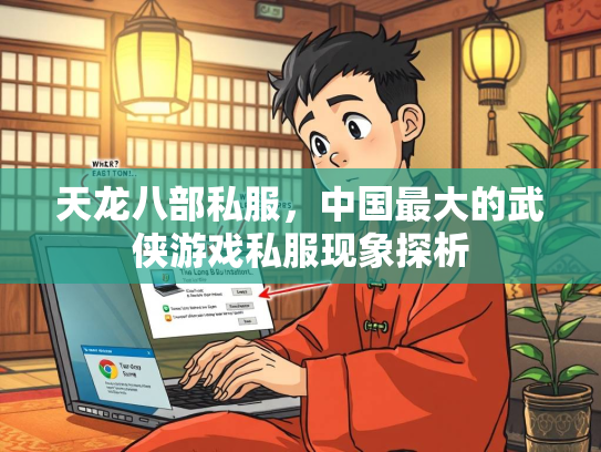 天龙八部私服，中国最大的武侠游戏私服现象探析  第3张