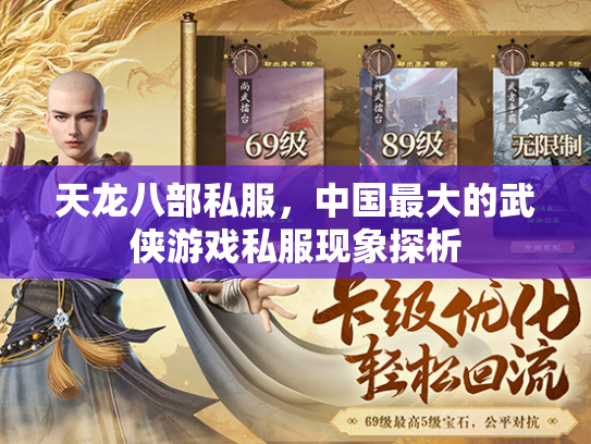 天龙八部私服，中国最大的武侠游戏私服现象探析  第1张