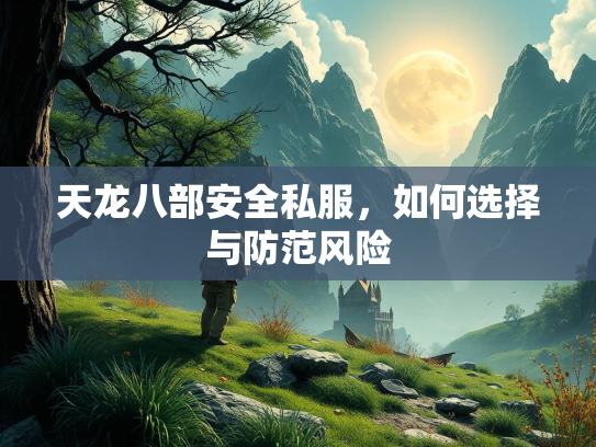 天龙八部安全私服，如何选择与防范风险  第2张