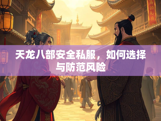 天龙八部安全私服，如何选择与防范风险  第3张