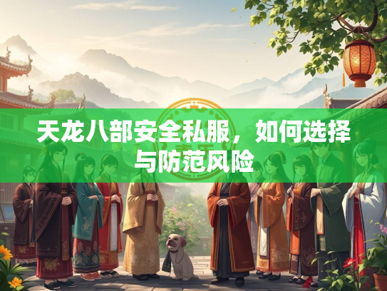天龙八部安全私服，如何选择与防范风险  第1张