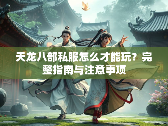 天龙八部私服怎么才能玩？完整指南与注意事项  第2张