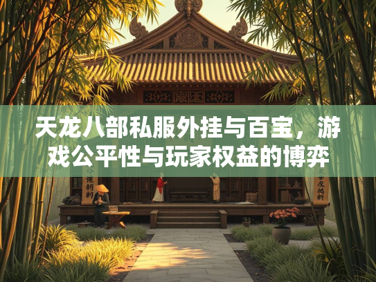 天龙八部私服外挂与百宝，游戏公平性与玩家权益的博弈  第1张