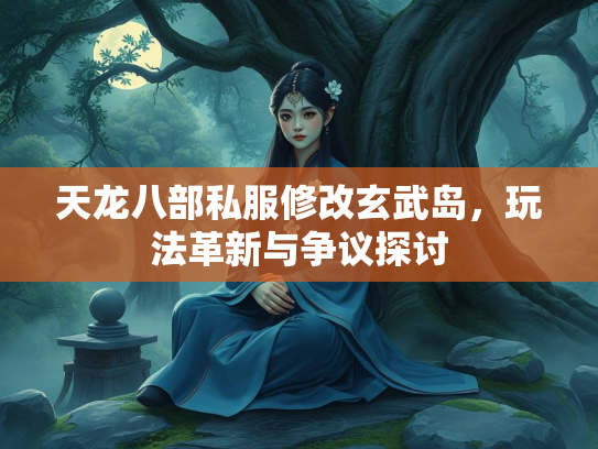 天龙八部私服修改玄武岛，玩法革新与争议探讨  第1张