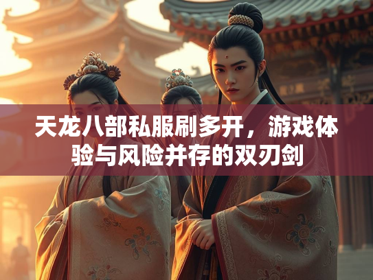 天龙八部私服刷多开，游戏体验与风险并存的双刃剑  第2张