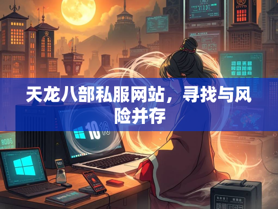 天龙八部私服网站，寻找与风险并存  第2张