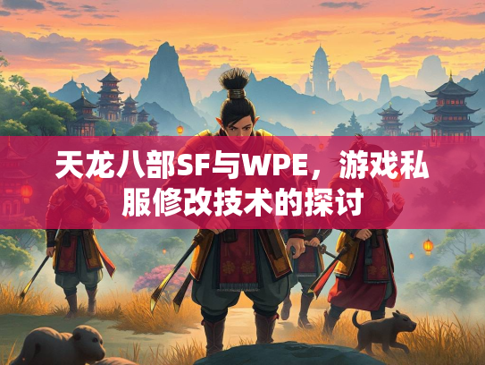 天龙八部SF与WPE，游戏私服修改技术的探讨  第2张