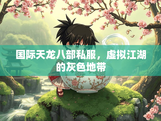 国际天龙八部私服，虚拟江湖的灰色地带  第1张