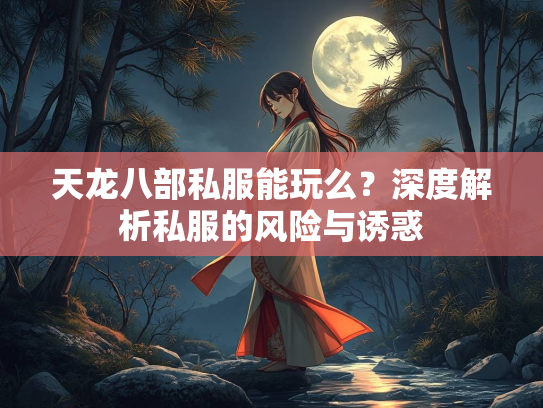 天龙八部私服能玩么？深度解析私服的风险与诱惑  第3张