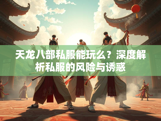 天龙八部私服能玩么？深度解析私服的风险与诱惑  第1张