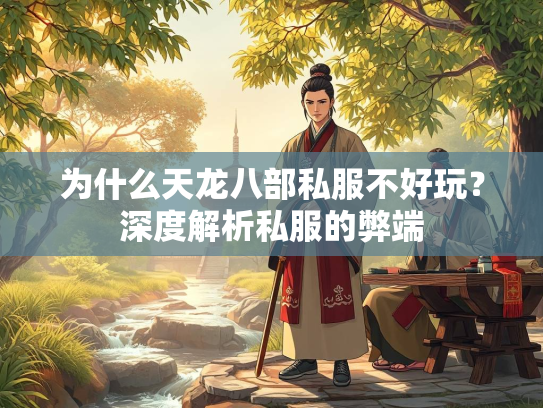 为什么天龙八部私服不好玩？深度解析私服的弊端
