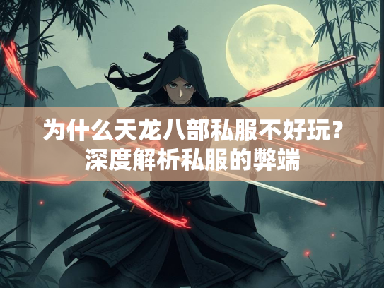 为什么天龙八部私服不好玩？深度解析私服的弊端