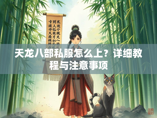 天龙八部私服怎么上？详细教程与注意事项  第1张