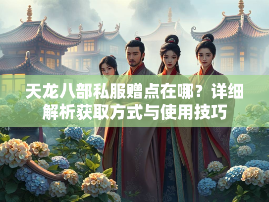 天龙八部私服赠点在哪？详细解析获取方式与使用技巧