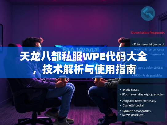天龙八部私服WPE代码大全，技术解析与使用指南  第3张