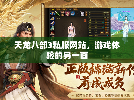 天龙八部3私服网站，游戏体验的另一面