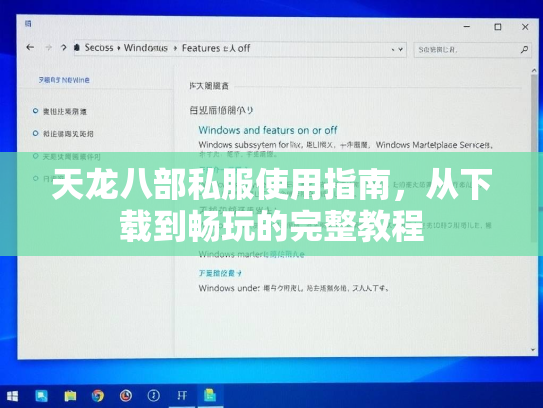 天龙八部私服使用指南，从下载到畅玩的完整教程  第1张