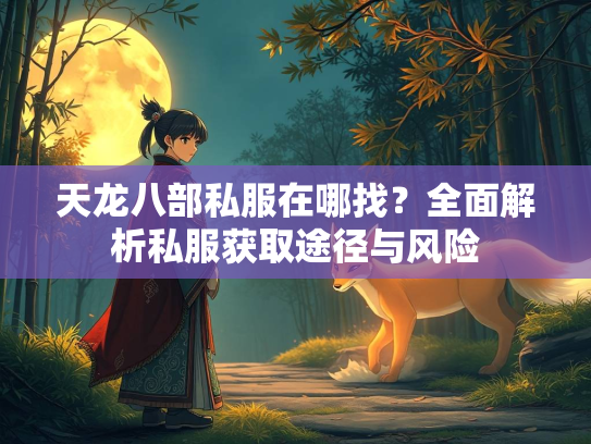 天龙八部私服在哪找？全面解析私服获取途径与风险  第2张