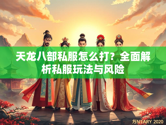 天龙八部私服怎么打？全面解析私服玩法与风险  第1张