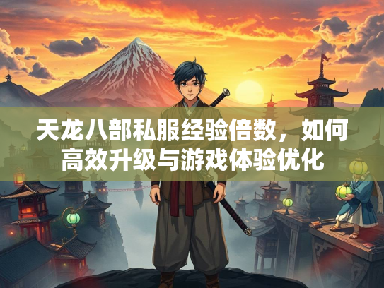 天龙八部私服经验倍数，如何高效升级与游戏体验优化  第2张