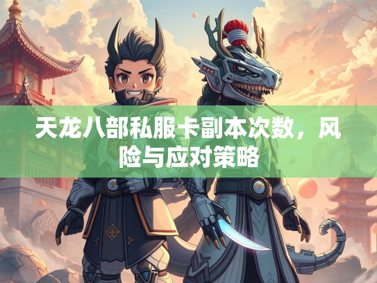 天龙八部私服卡副本次数，风险与应对策略  第2张