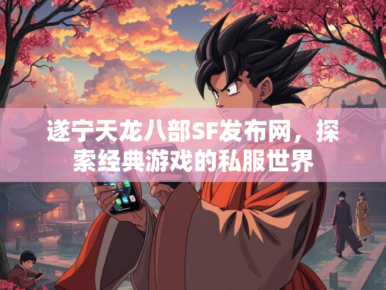 遂宁天龙八部SF发布网，探索经典游戏的私服世界  第2张
