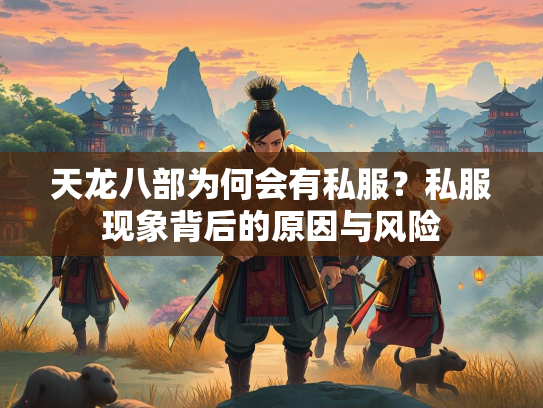 天龙八部为何会有私服？私服现象背后的原因与风险  第3张
